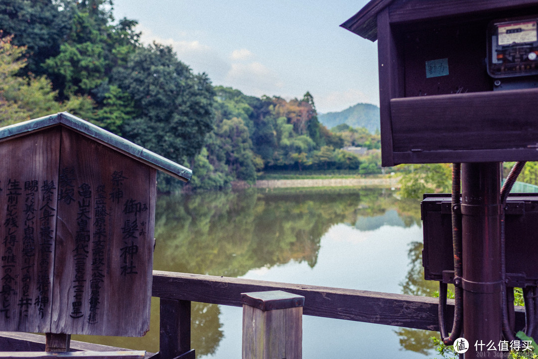 故地重游，漫步嵯峨野