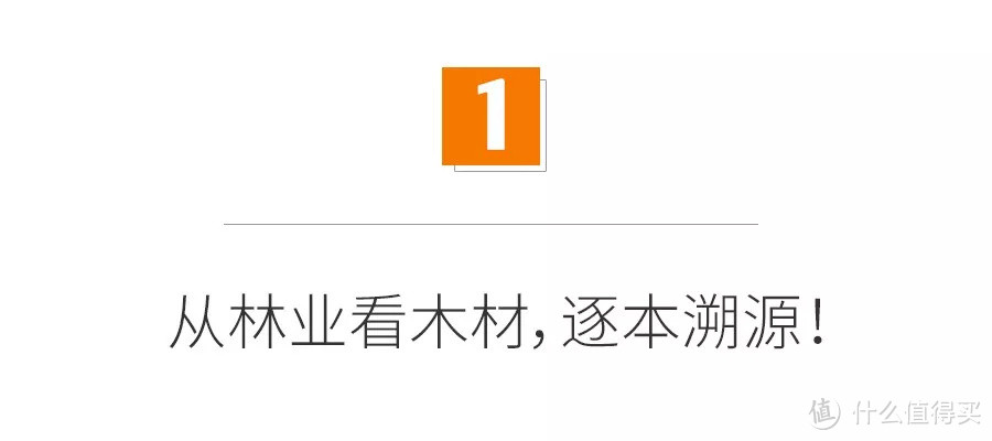 美国红橡餐桌标价1万？再碰到商家说泰国白橡请直接骂人！买实木家具必看的