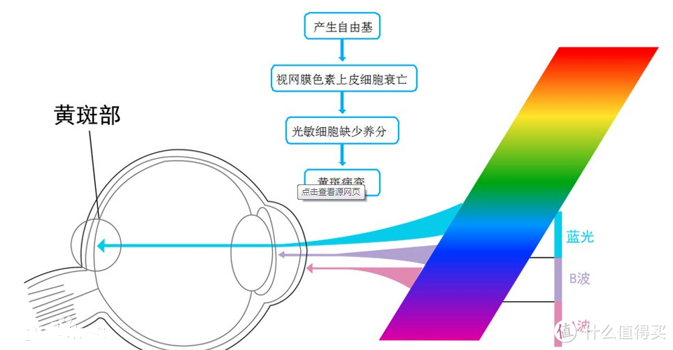 OLED电视京东618迅速崛起，选购不可错过