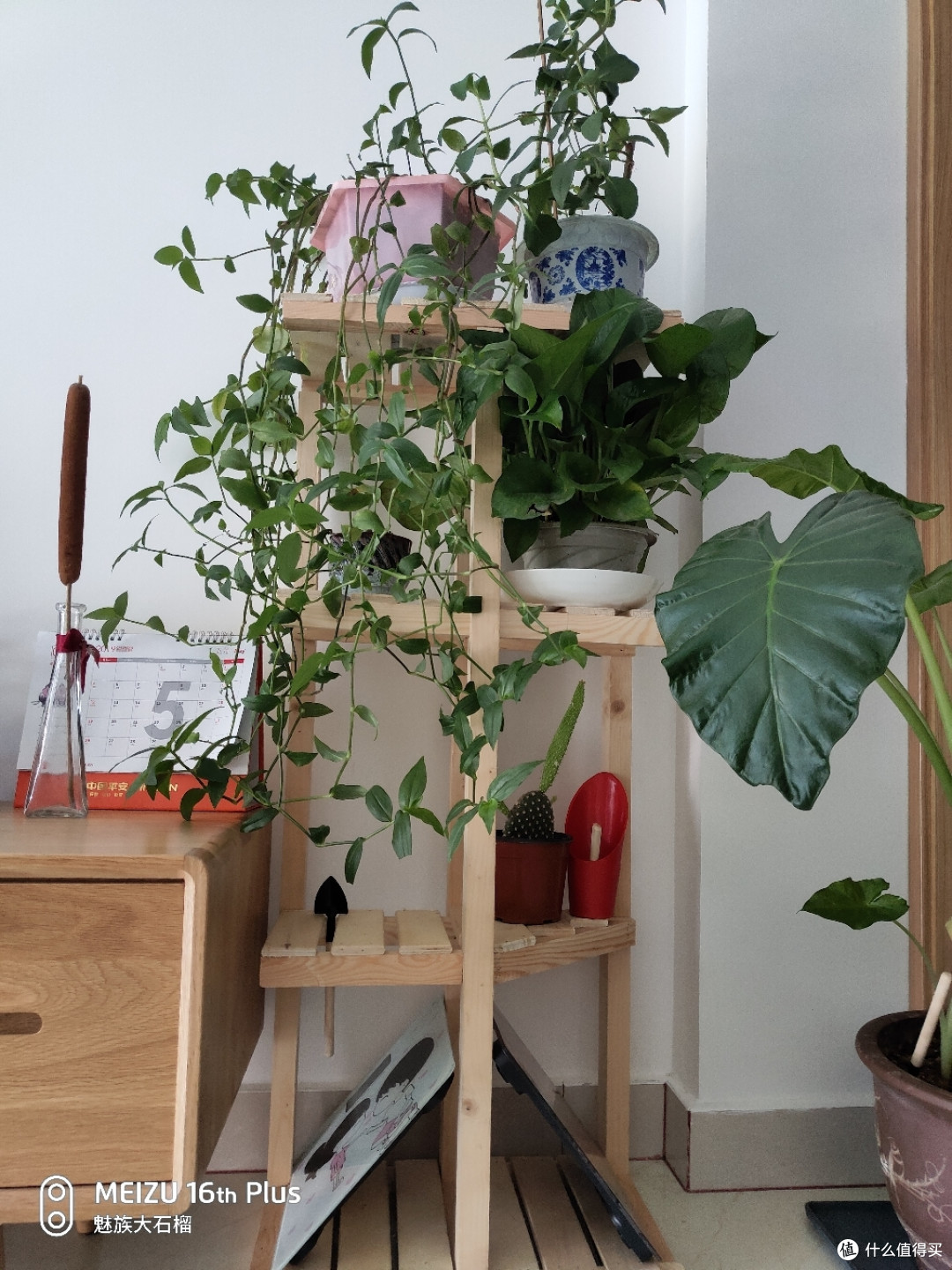 花架