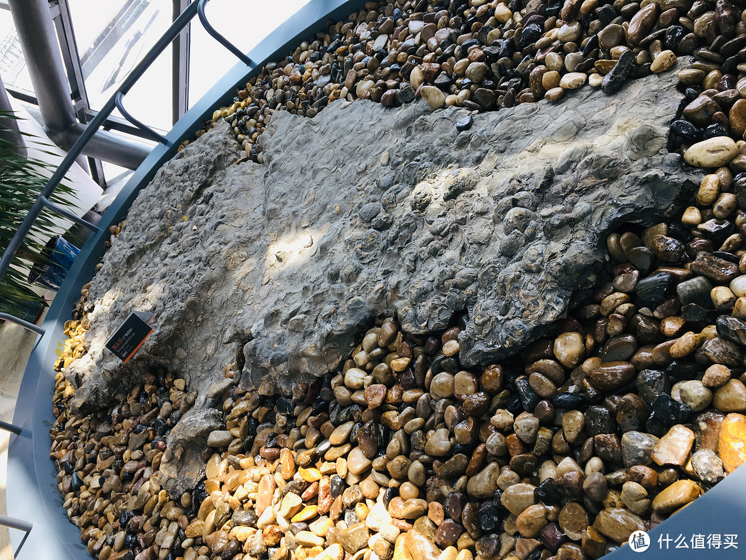 百图带你看海博—国家海洋博物馆的里里外外