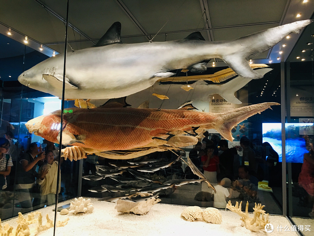 百图带你看海博—国家海洋博物馆的里里外外