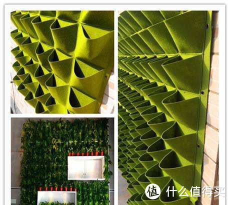 价格低！超简单！极易养护的植物墙！高端酒店立体绿墙搬回家！