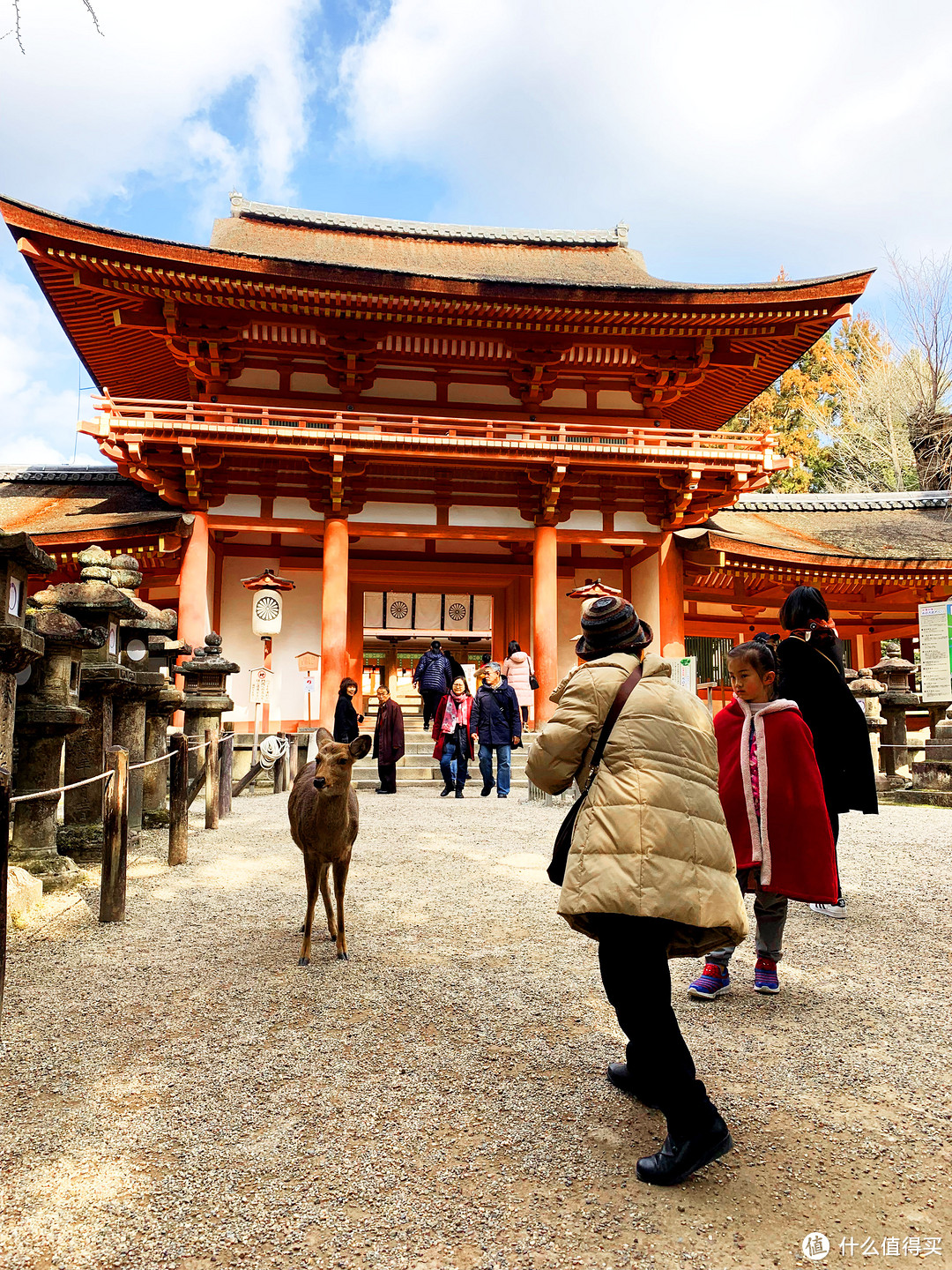 奈良，游完几大主题乐园之后娃最喜欢的城市依然是它