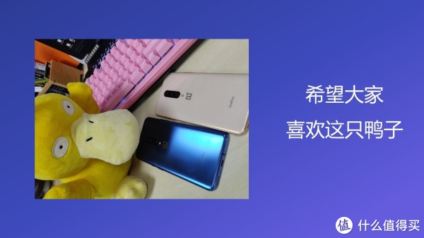 最后，这只鸭子真是可爱，有什么更可爱的更大的可以给我推荐一下呀