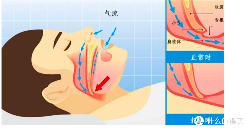 BBC的睡眠研究实验：10条简单易行小建议，让你有个好睡眠