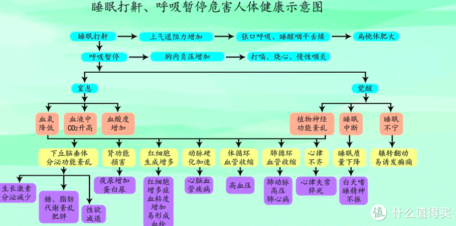 BBC的睡眠研究实验：10条简单易行小建议，让你有个好睡眠