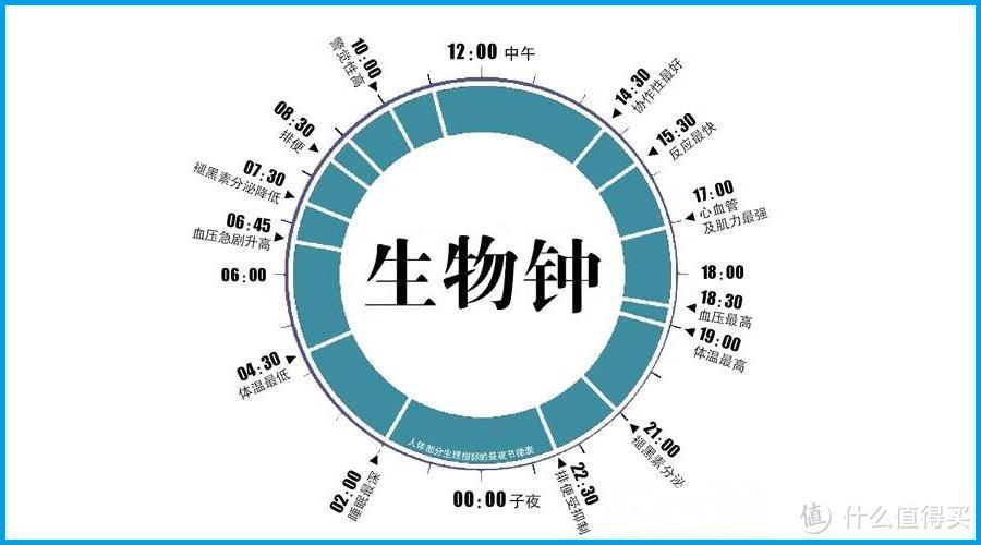 BBC的睡眠研究实验：10条简单易行小建议，让你有个好睡眠