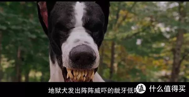 明明是奇幻大戏 却因为这对神鬼cp 成了今夏最劲爆的撒糖剧 影视 什么值得买