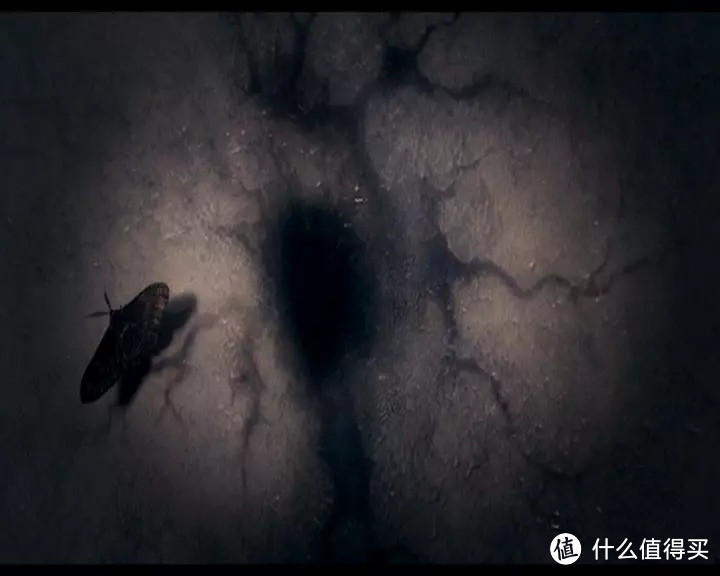 屏住呼吸!这两年值得期待的恐怖电影全在这里!