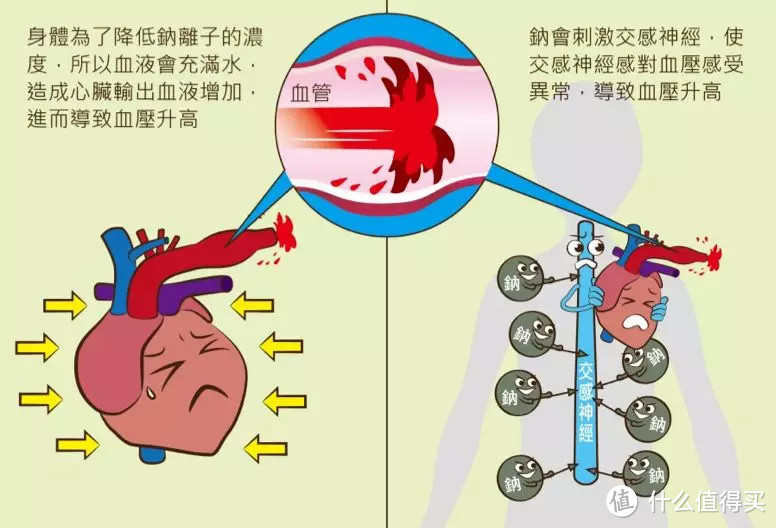 发胖、水肿、变丑...比糖和脂肪更可怕的健康杀手竟然是盐！