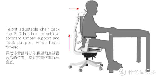 最“便宜”的前倾功能人体工学办公椅  达宝利D6