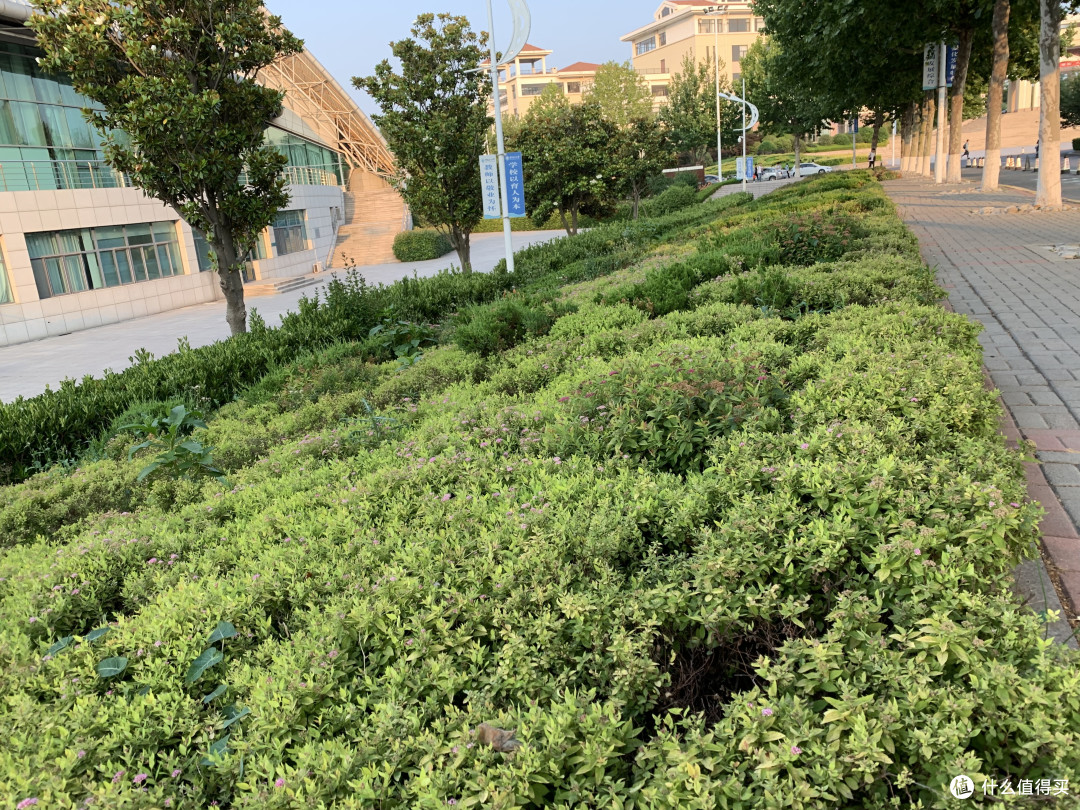 雷军亲自送小米9,到底是一种怎样的体验