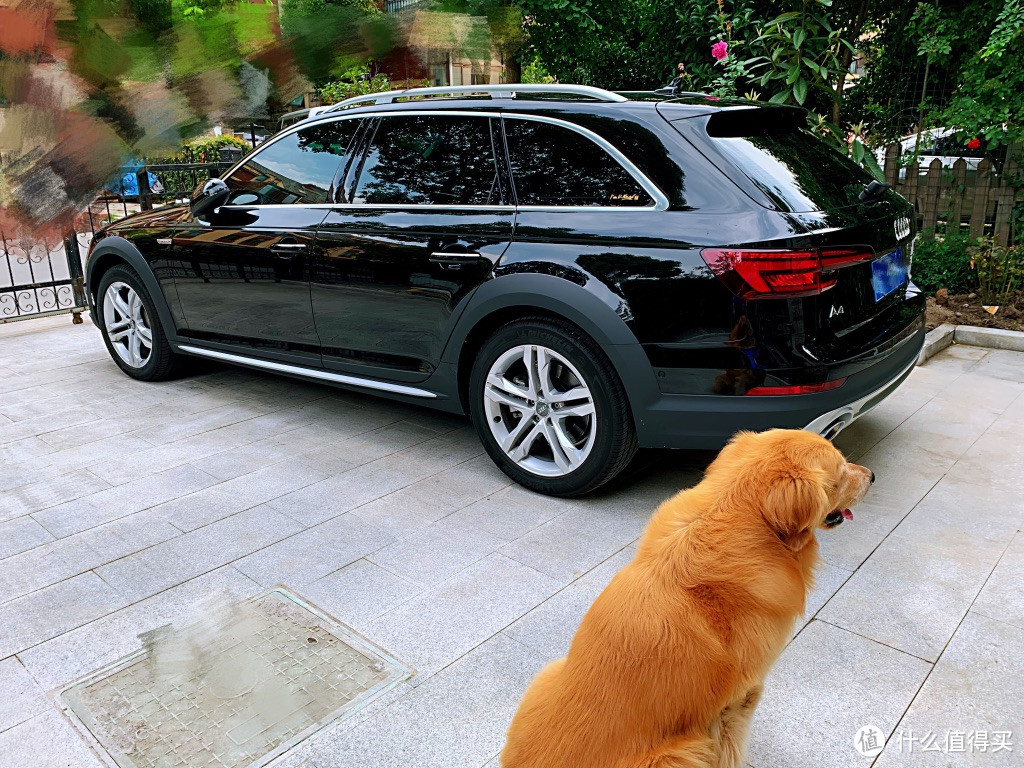 中庸的选择却有惊喜，扮猪吃老虎的奥迪A4 allroad