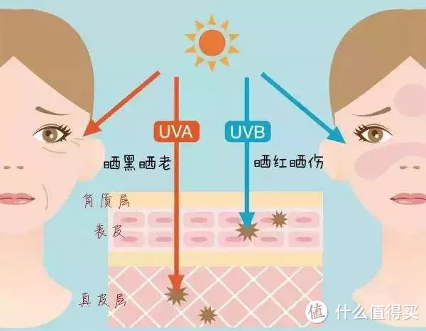 UVB、UVA的区别与对皮肤的作用原理