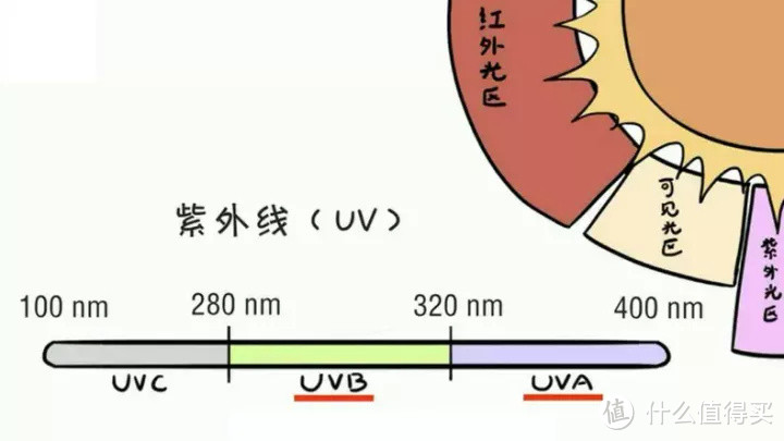 UVC、UVB、UVA三种不同波长的紫外线