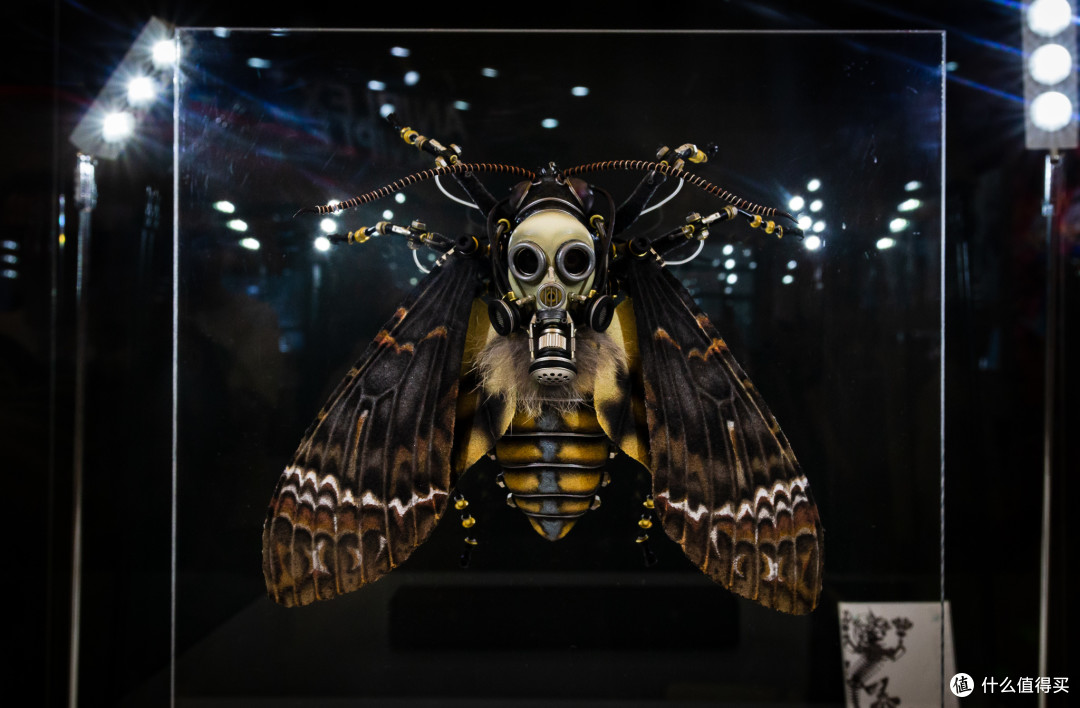 WonderFestival 2019 上海 —之假粉丝的走马观花(多图橙色预警!)
