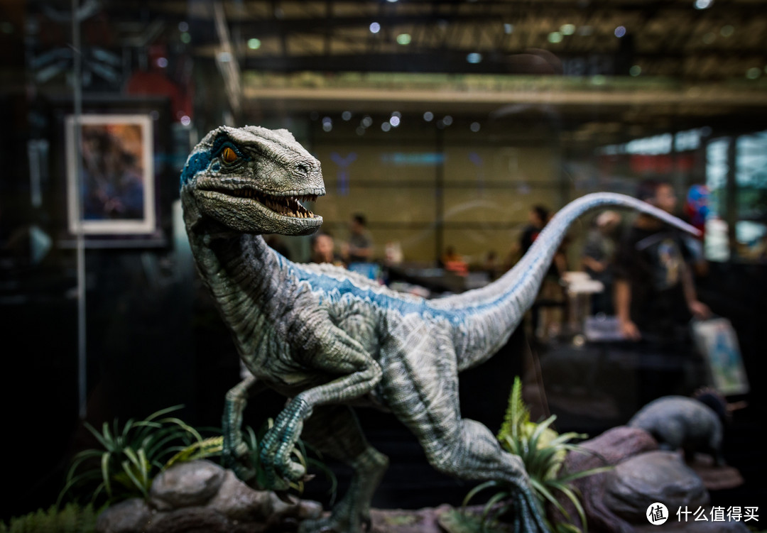 WonderFestival 2019 上海 —之假粉丝的走马观花(多图橙色预警!)