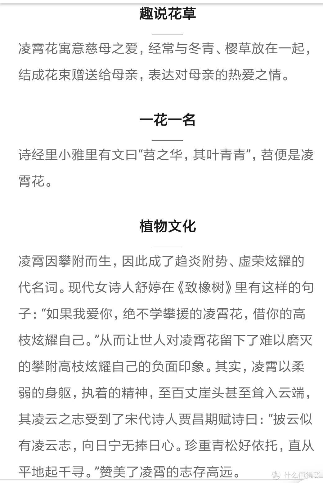 烈日灼梅/浙江宁波慈溪余姚杨梅山上（选择农历时最佳日期摘梅子）采杨梅啦