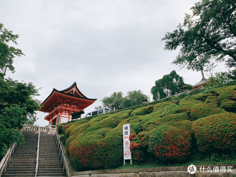 首次带着母后自由行（京都&大阪6天5晚）Day3 京都清水寺三十三间堂