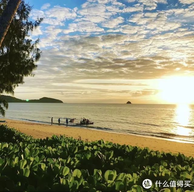 盛夏去凉爽的凯恩斯,潜水近观珊瑚礁群,探寻最古老的热带雨林