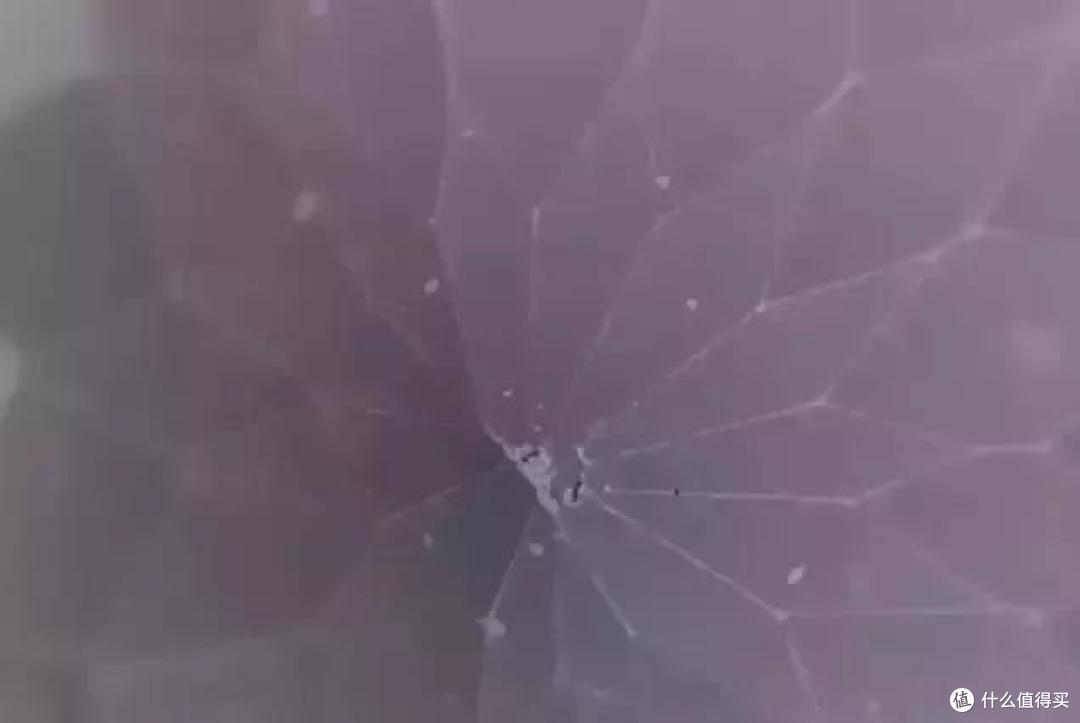 △仔细观察亭部,可能会看到膜碎裂的痕迹