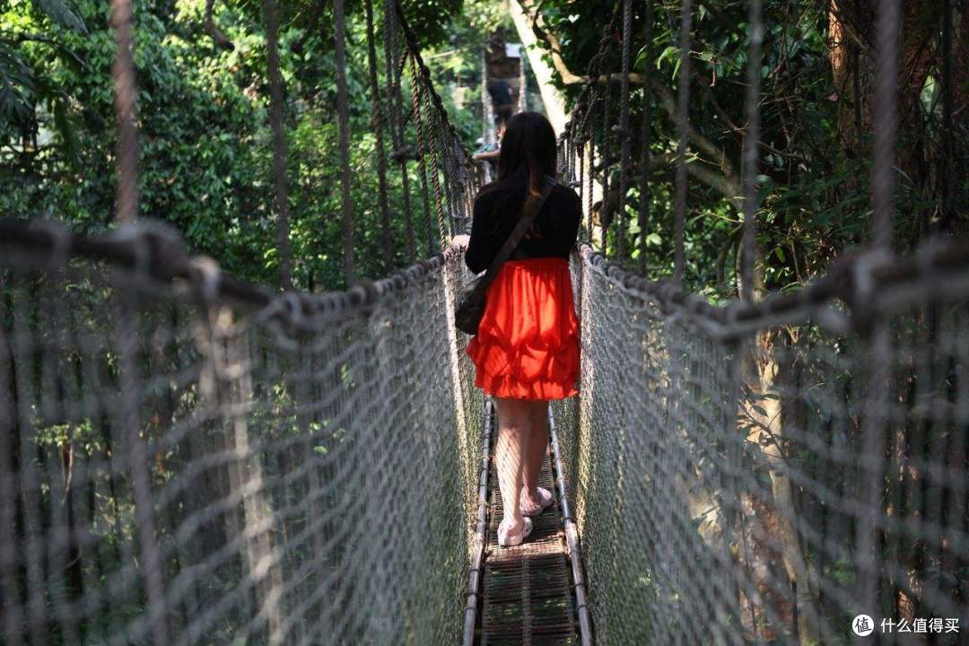 在云南西双版纳旅游,有哪些知名景点在等着你