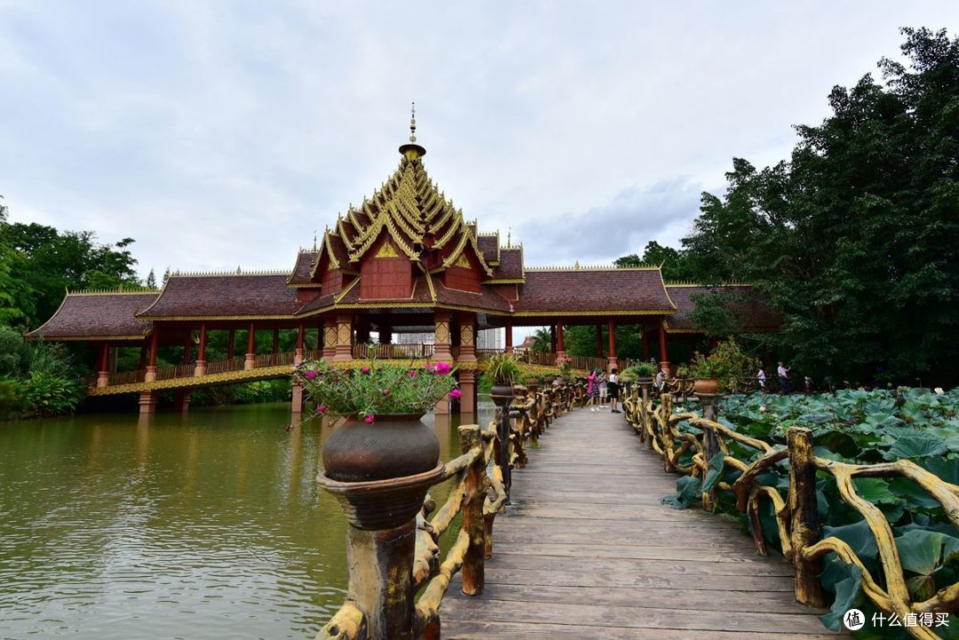 在云南西双版纳旅游,有哪些知名景点在等着你