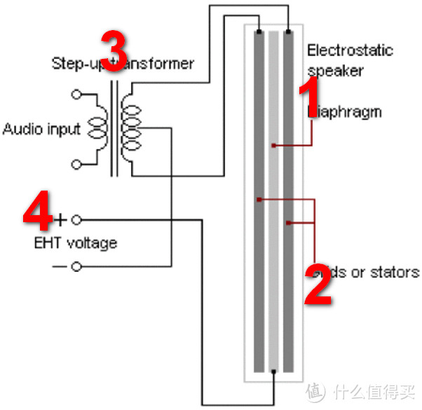 静电扬声器纵剖面图