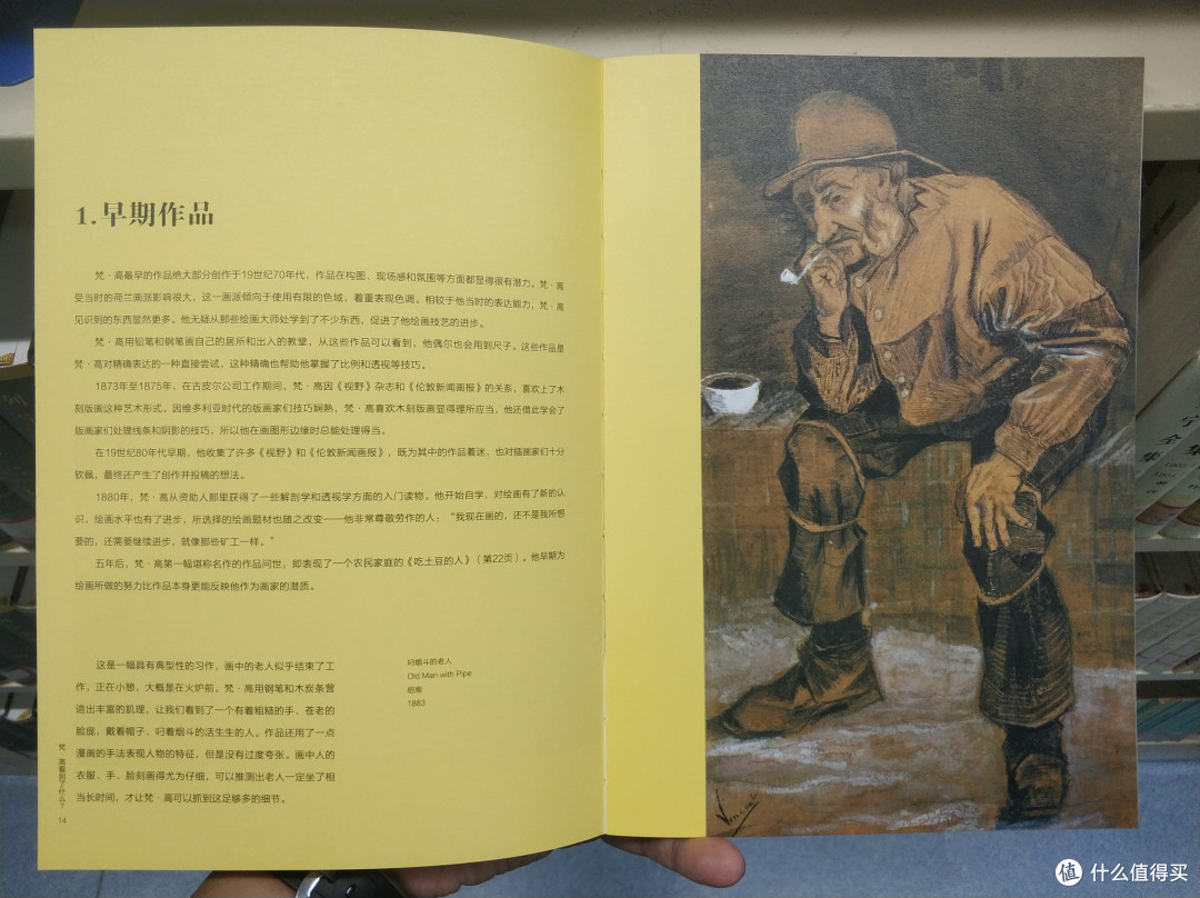 图书馆猿の2019读书计划47:《梵·高看到了什么》