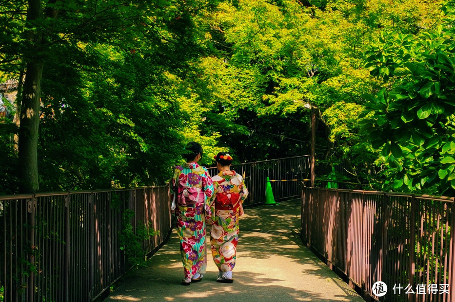 慢京都与奈良鹿，旅行，有时候一定要慢下来才更有趣