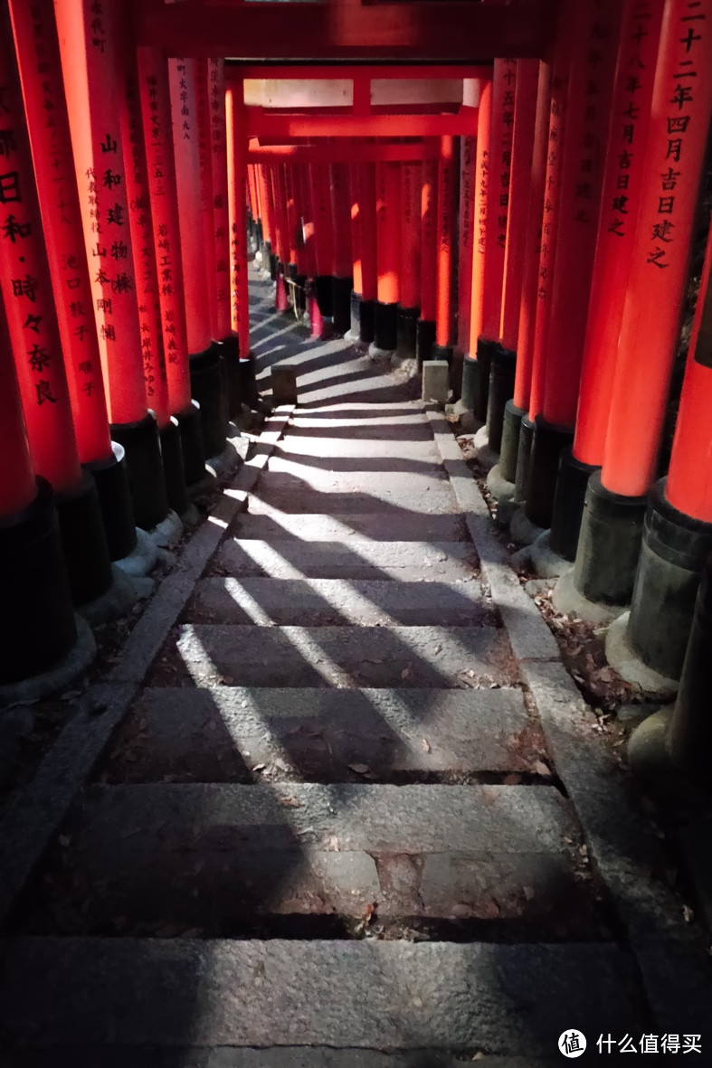 慢京都与奈良鹿，旅行，有时候一定要慢下来才更有趣