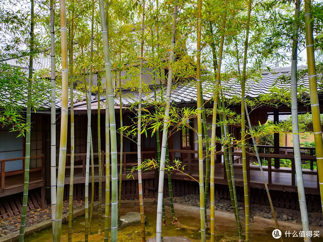 慢京都与奈良鹿，旅行，有时候一定要慢下来才更有趣