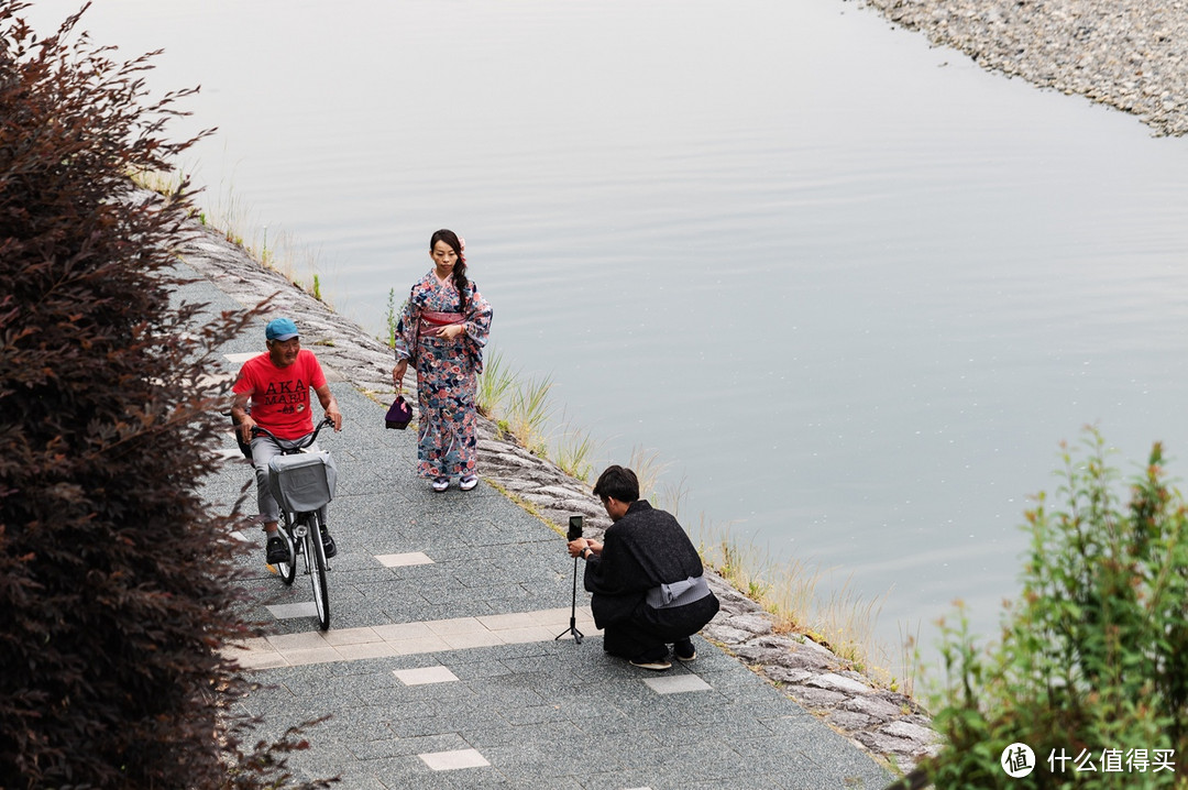 慢京都与奈良鹿，旅行，有时候一定要慢下来才更有趣