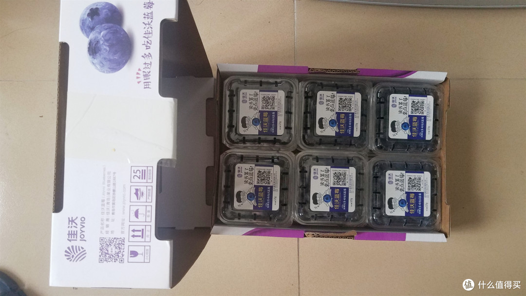 这个夏天,怎么少得了蓝莓加酸奶!!