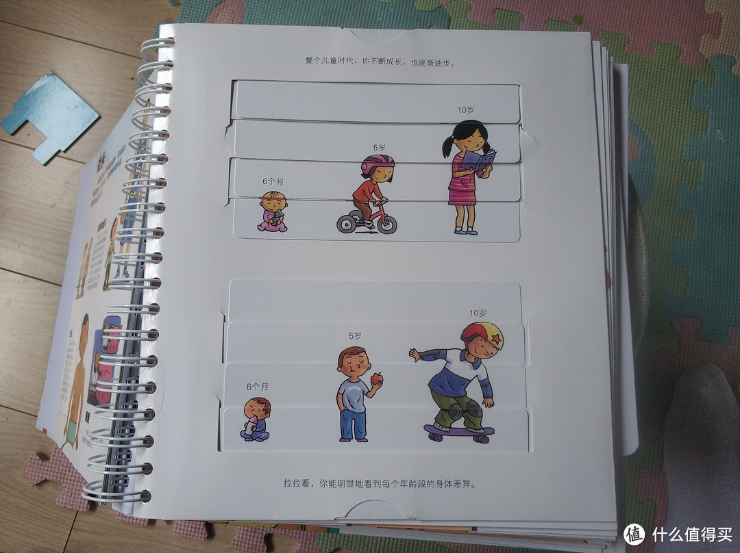 图书馆猿の2019读书计划48:《我们的身体》