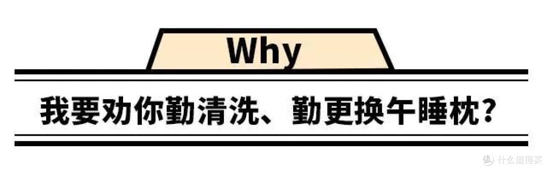 十年不洗的抱枕，究竟可以脏到什么程度？