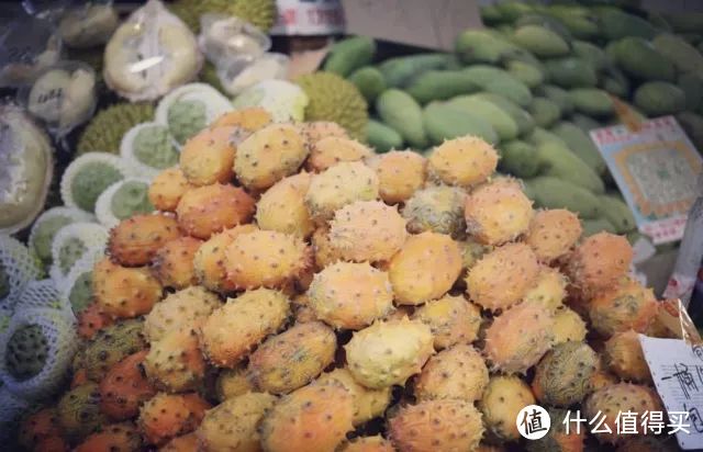 厦门|清风微雨的初夏，来一场甜蜜的慢游