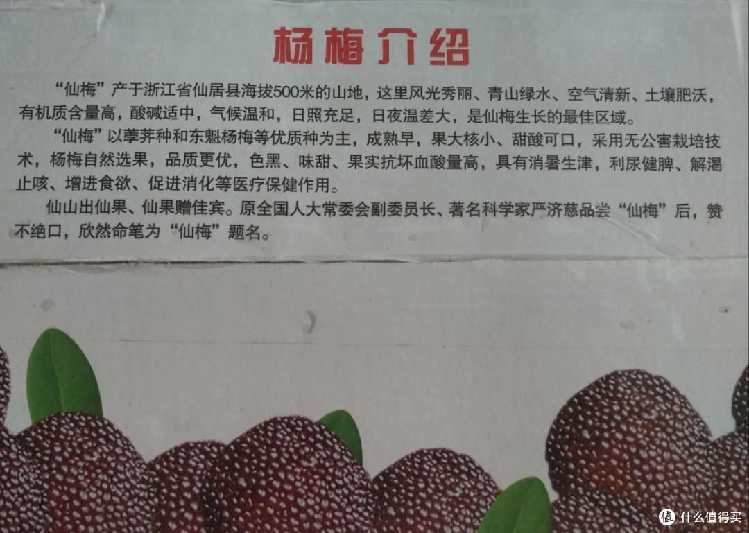 浙江台州的仙居杨梅(个头真和黄乒乓球一般大小的)有虫的杨梅才是好杨梅么