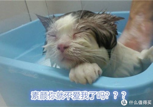 求关注！