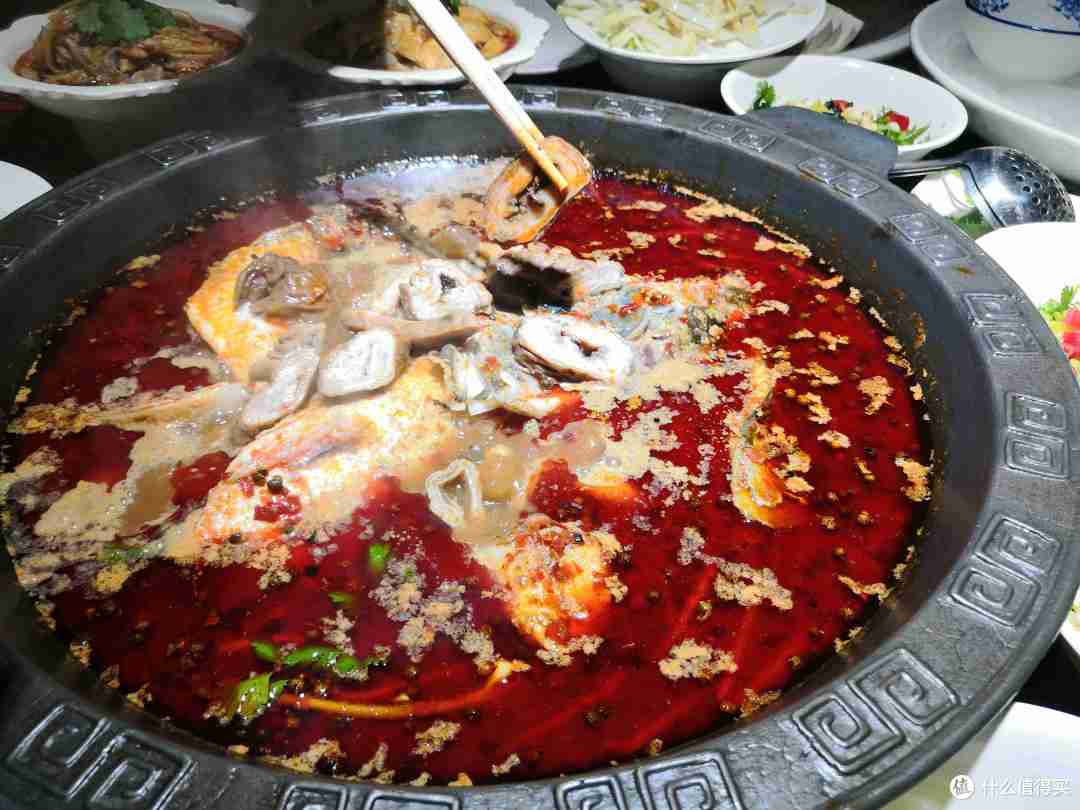 火锅配肥肠还是头一回,「蜀汉大渔」鱼头肥肠火锅