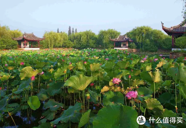 无锡：太湖之畔这座无肉不欢的小城