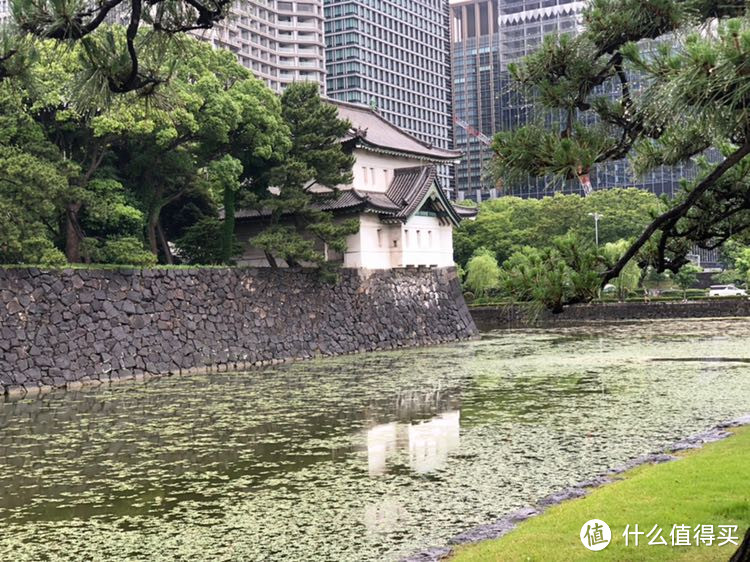 东京旅行记，走马观花看东京