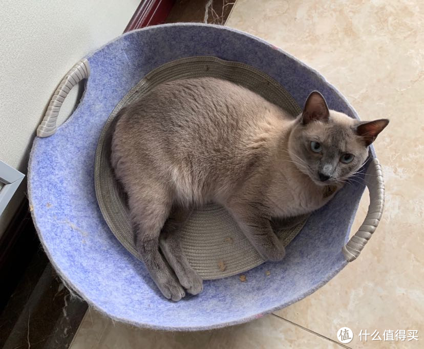 29包邮,毛毡猫窝 猫窝兼猫抓板 猫重度喜爱