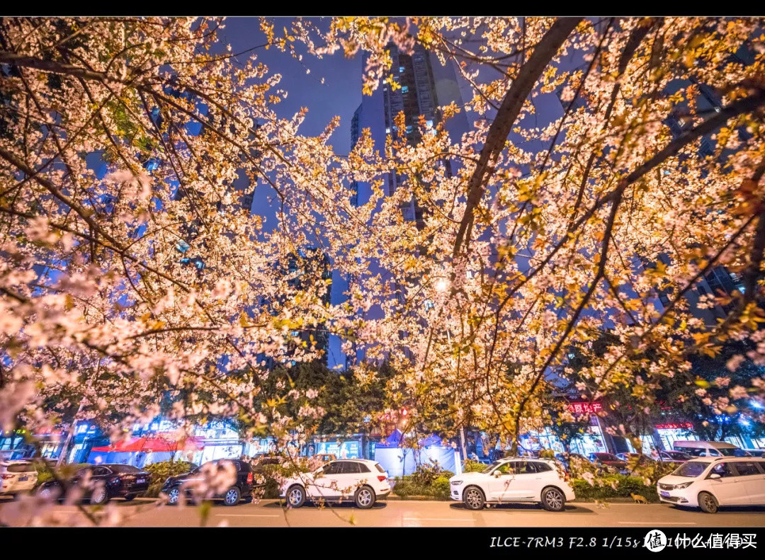 单评 | 适马14-24mm F2.8 DG HSM ART