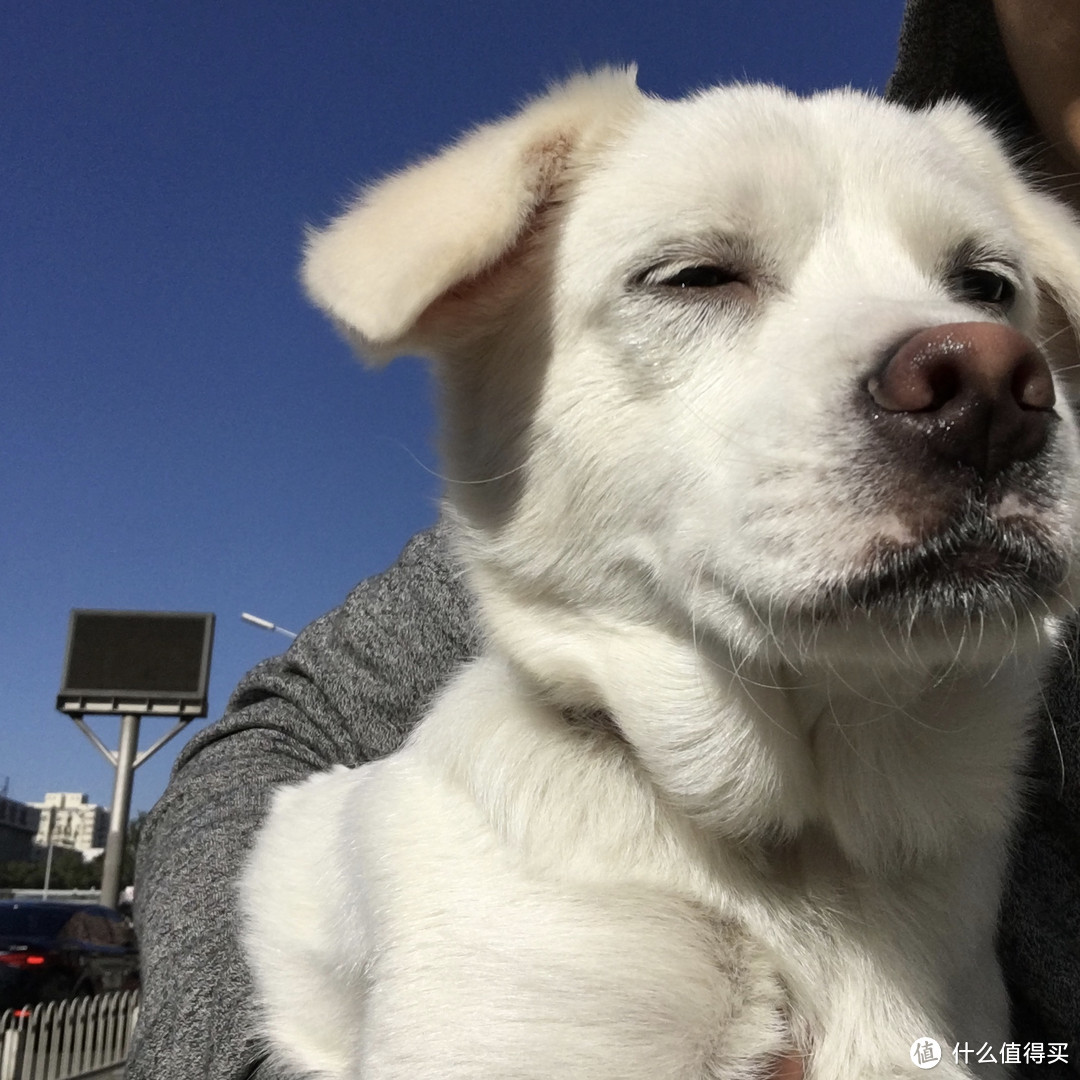 我捡来的儿子,已经三岁了