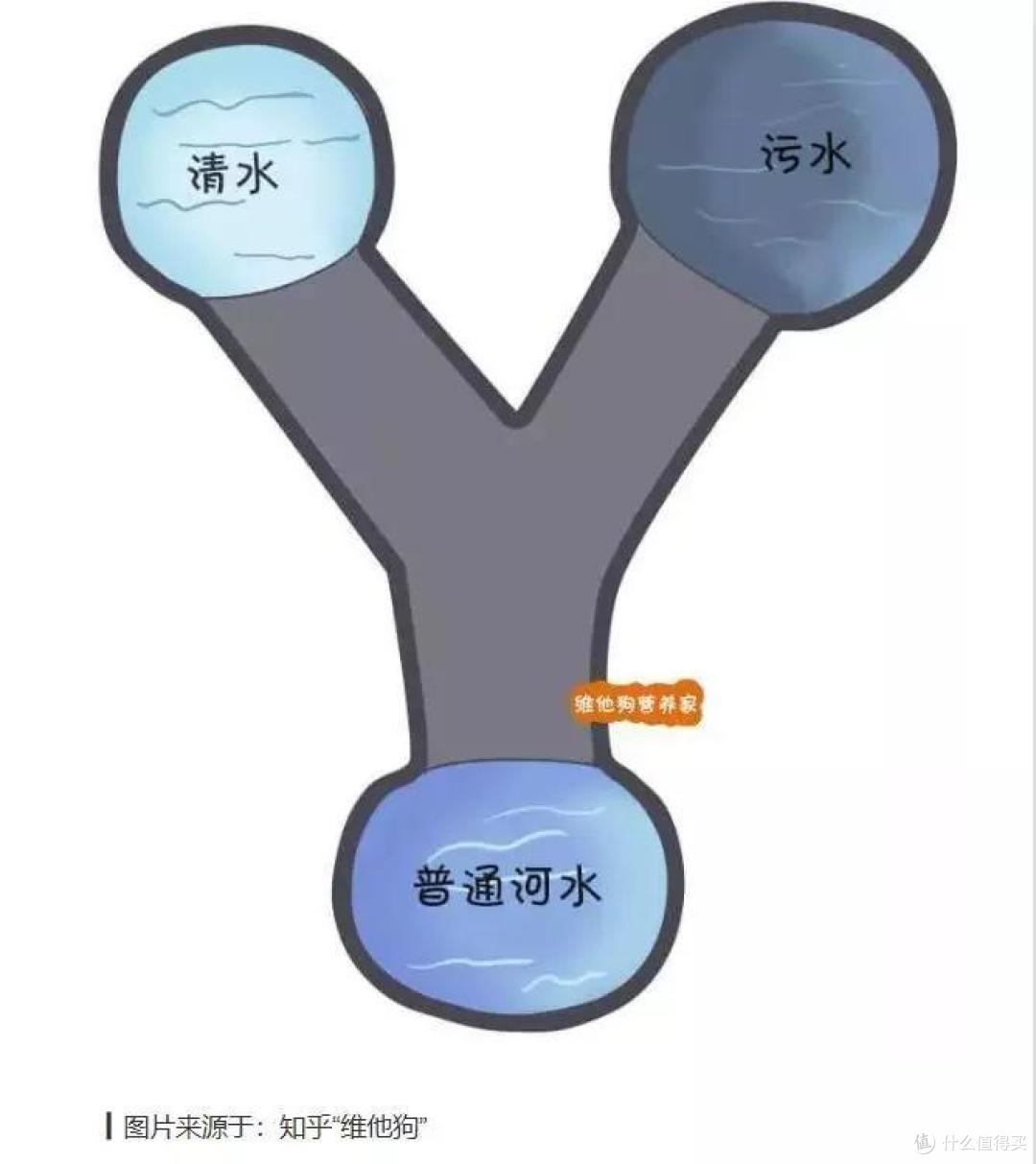 亲测10款小龙虾:价格相差近3倍,口感竟然差不多?!