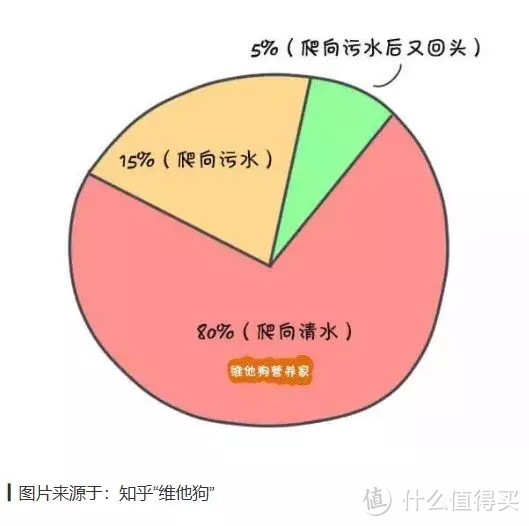 亲测10款小龙虾：价格相差近3倍，口感竟然差不多？！