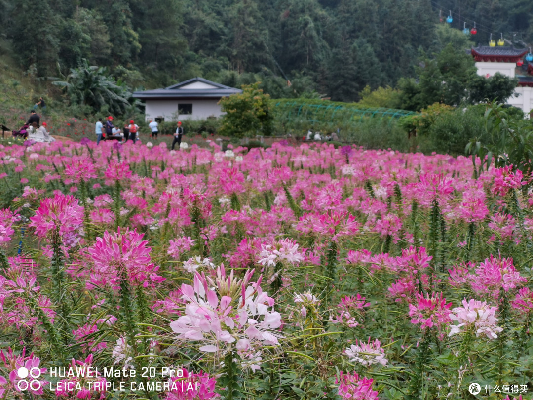 周边的一些大山小山