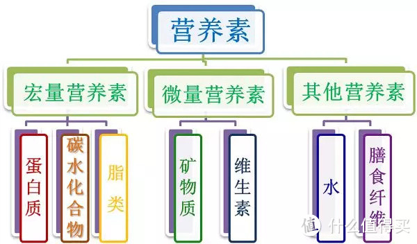 易瘦体质是什么？为什么有人就是狂吃不胖？我们可以怎么养成？